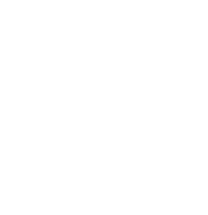 Customer Focus: We place customer satisfaction at the core of our operations, constantly striving to meet and exceed their expectations.