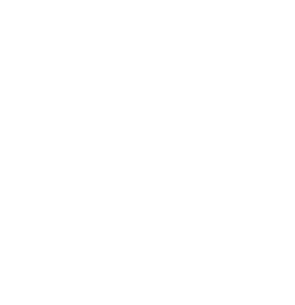 Integrity: We conduct business with honesty and transparency, ensuring that our actions align with our words.