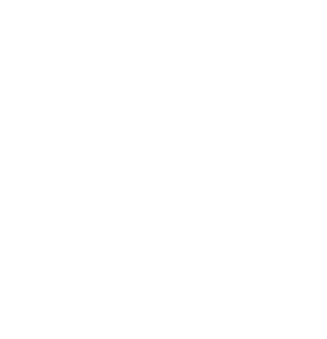 Innovation: We are committed to continuously improving our processes and services, embracing new ideas and technologies to stay ahead in the industry.