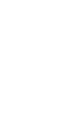 Integrity: We conduct business with honesty and transparency, ensuring that our actions align with our words.